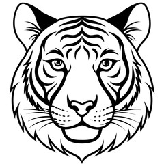  tiger---head-body-shapes---stripes-and-ears---full