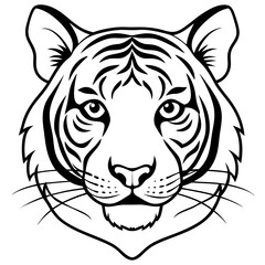 Obraz premium tiger---head-body-shapes---stripes-and-ears---full