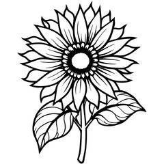 vintage-sunflower-botanical-drawing.