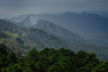 Fototapeta premium salto c