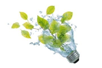 Water, leaves, and lightbulb, eco friendly energy concept.