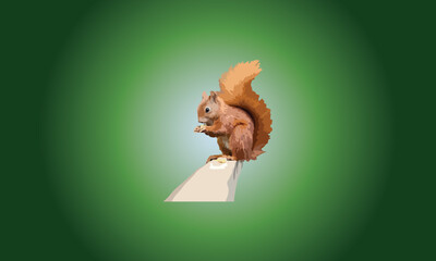 Vector squirrel design fully editable high quality