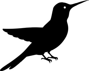 Black bird silhouette vector illustration on a branch
