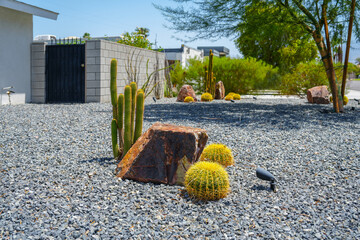 Drought resistant landscaping in Palm Springs