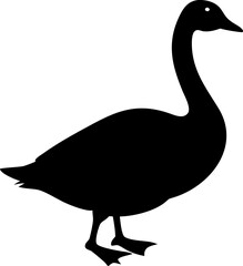 Graceful white swan and goose silhouette illustration on water, embodying love and nature's wildlife