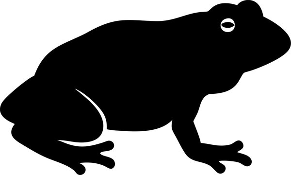 A clean vector illustration of a frog on a pure white background