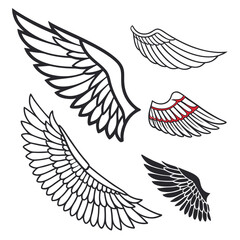 Set of wings icons. Wings icons. Bird wings, angel wings elements. Wing collection in different shape. Wings badges. Vector illustration