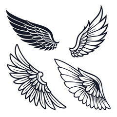 Set of wings icons. Wings icons. Bird wings, angel wings elements. Wing collection in different shape. Wings badges. Vector illustration