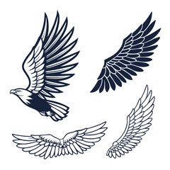 Set of wings icons. Wings icons. Bird wings, angel wings elements. Wing collection in different shape. Wings badges. Vector illustration