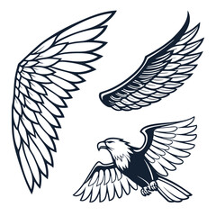 Set of wings icons. Wings icons. Bird wings, angel wings elements. Wing collection in different shape. Wings badges. Vector illustration