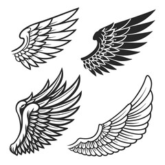 Set of wings icons. Wings icons. Bird wings, angel wings elements. Wing collection in different shape. Wings badges. Vector illustration