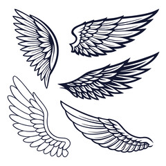 Set of wings icons. Wings icons. Bird wings, angel wings elements. Wing collection in different shape. Wings badges. Vector illustration