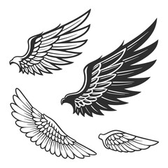 Set of wings icons. Wings icons. Bird wings, angel wings elements. Wing collection in different shape. Wings badges. Vector illustration