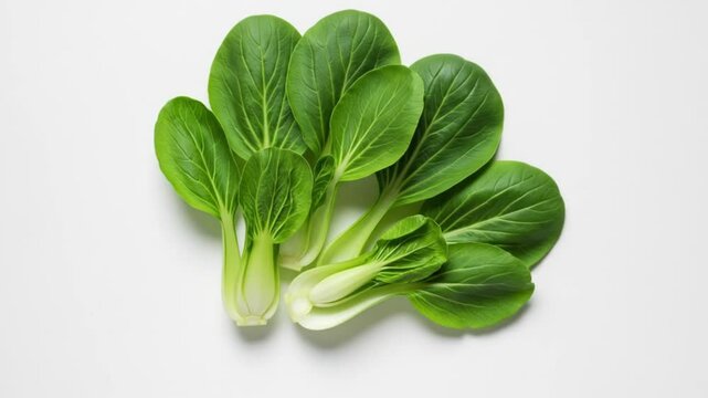 Lush baby bok choy freshness
