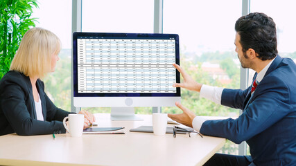 Accounting software on computer screen showing financial statement spreadsheets and account balance...