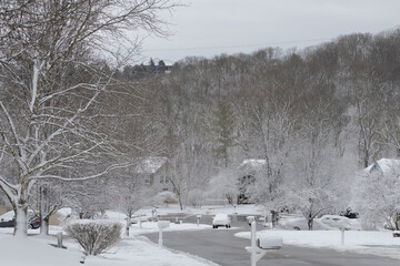 subdivision in deep winter