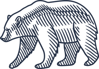 Bear sketch illustration hand drawn wild animal outline, walking mammal, wildlife drawing, rustic vintage