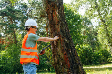 Environmental engineer man in the forest notes the environmental situation. Eco technician with a tablet checks the trees. Forester worker.