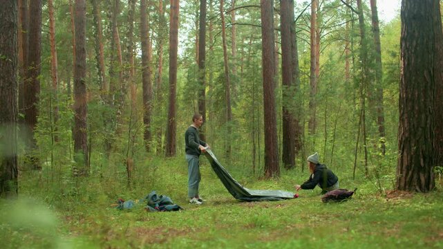 Young man and woman fold tent together on forest ground with bags scattered around, surrounded by tall pine trees and lush greenery in peaceful outdoor camping environment during daytime