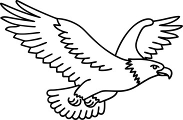 Soaring eagle outline illustration majestic bird with open wings in flight, hand drawn black and white line art
