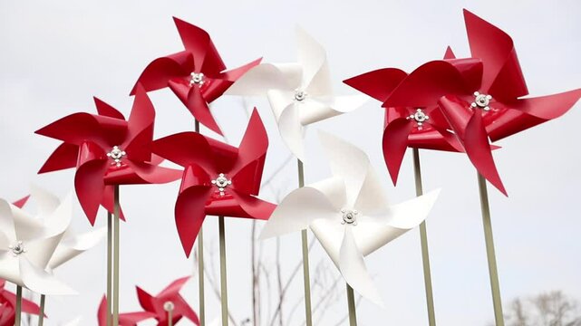 Pinwheel in the colors of the Latvian flag in the wind, slow motion.