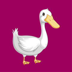 White Duck on Purple Background: A charming and serene duck stands gracefully against a vibrant purple backdrop, its pure white feathers contrasting beautifully with the color.
