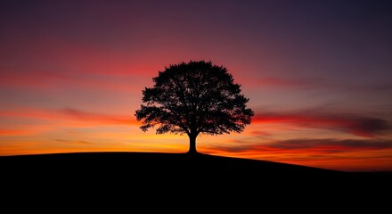 Silhouette of Tree at Sunset with Colorful Sky