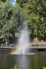 Jet d'eau arc-en-ciel au parc Santa Catarina - Madère