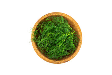 Dill isolated on white background. Fresh organic greens. Dill plantation. Dill leaves. Bunch of spring young dill. Vitamins. Fiber. Aromatic culinary spice.