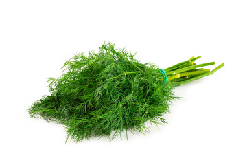 Dill isolated on white background. Fresh organic greens. Dill plantation. Dill leaves. Bunch of spring young dill. Vitamins. Fiber. Aromatic culinary spice.