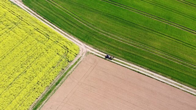 Drohne fliegt &uuml;ber Pferdekutsche, Agrarland im Fr&uuml;hling