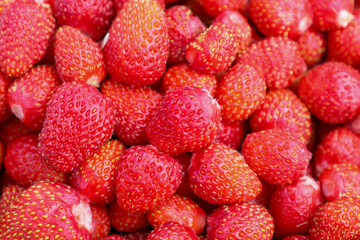A macro shot reveals the distinct surface texture of wild strawberries, each berry a vibrant red,...