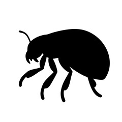 Flea insect silhouette in black and white flat vector illustration on white background © AL