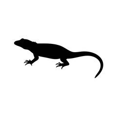 Sand lizard silhouette in black and white flat vector illustration on white background
