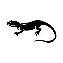Sand lizard silhouette in black and white flat vector illustration on white background