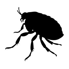 Flea insect silhouette in black and white flat vector illustration on white background
