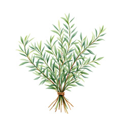 Obraz premium A watercolor illustration of a bundle of leafy green branches tied together with a brown string bow