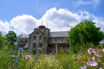 colourful wildflowers with Romsey Abbey Hampshire England in the background