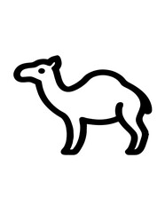 camel