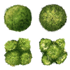 Watercolor Top View Tree Set – Hand Drawn Landscape Plants Illustration