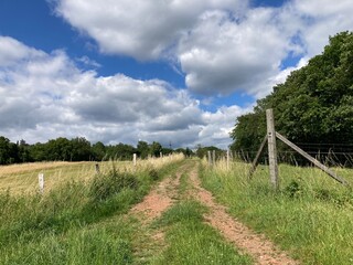 Fototapeta premium Landschaft ländlich mit Weidezaun und Feldweg und schöne Wolkenformationen am Himmel im Sommer