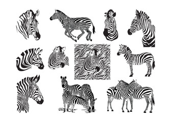 Zebra vector, Zebra clipart, Zebra silhouette