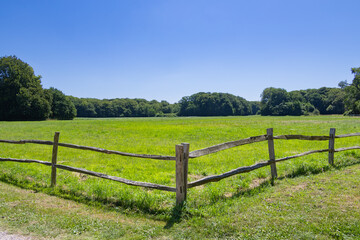 beautiful countryside scene with green fields, trees, blue sky, and a rustic wooden fence: