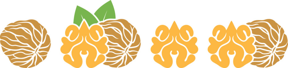 Walnut logo. Isolated walnut on white background