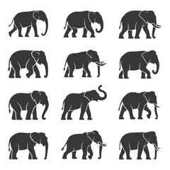 Collection of Silhouettes of Majestic Elephants in Various Postures Set black and white elephant silhouettes elephant silhouette animal wildlife nature mammal grey black