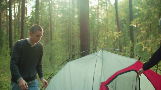 young tourists adjust camping tent in forest as setup nears completion surrounded by tall trees and nature during peaceful outdoor adventure with hints of teamwork and early morning light