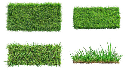 set of grass on white background