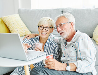portrait of a happy smiling elderly senior couple using laptop at home