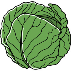 Obraz premium Cabbage 