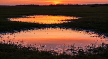 Sunset Reflection in Water Puddles on Grassy Field at Dusk